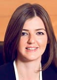 Köprünün Parlattığı Araziler: En çok hangi bölgeler değerlendi?-2