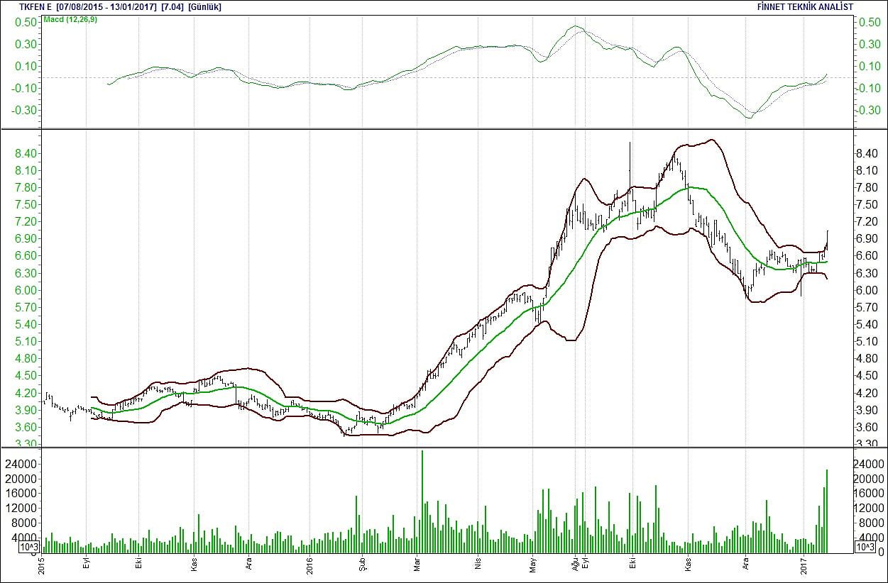 BİST 100 hisselerinin teknik analizi (14.1 2017)-12