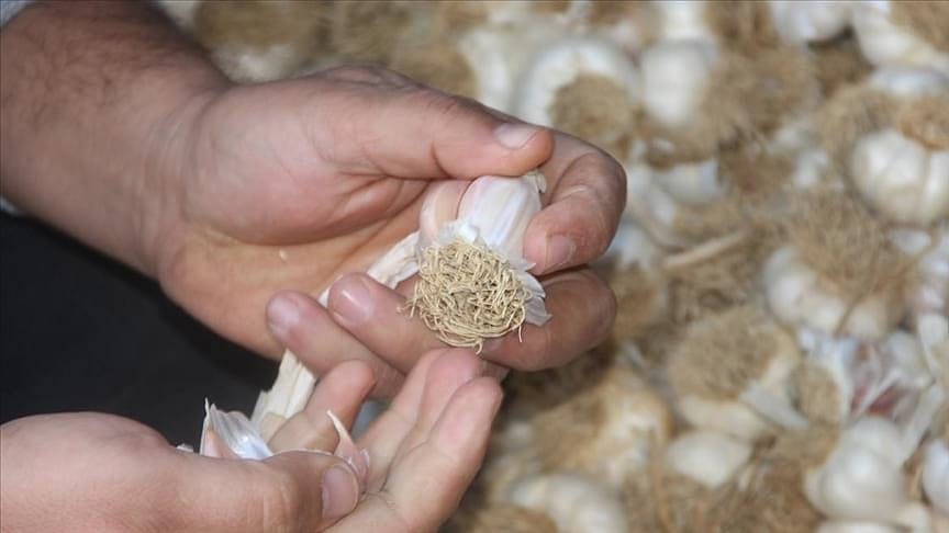 Pazarda 'karekod'la satılacak-0