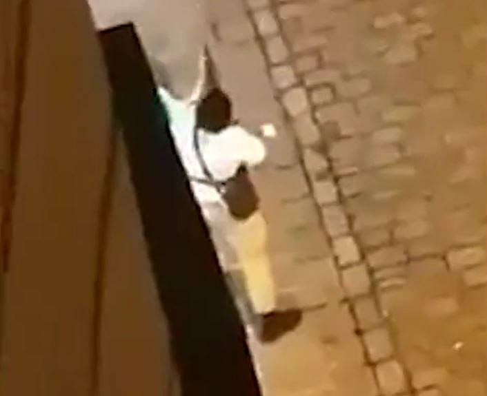 Avusturya: Terörist DEAŞ sempatizanı-0