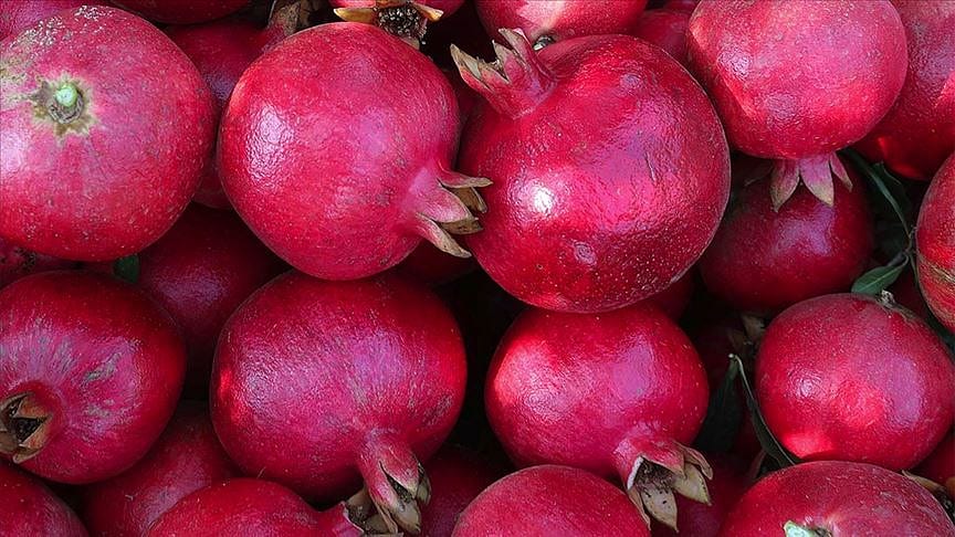 Nar ihracatına 'korona' dopingi