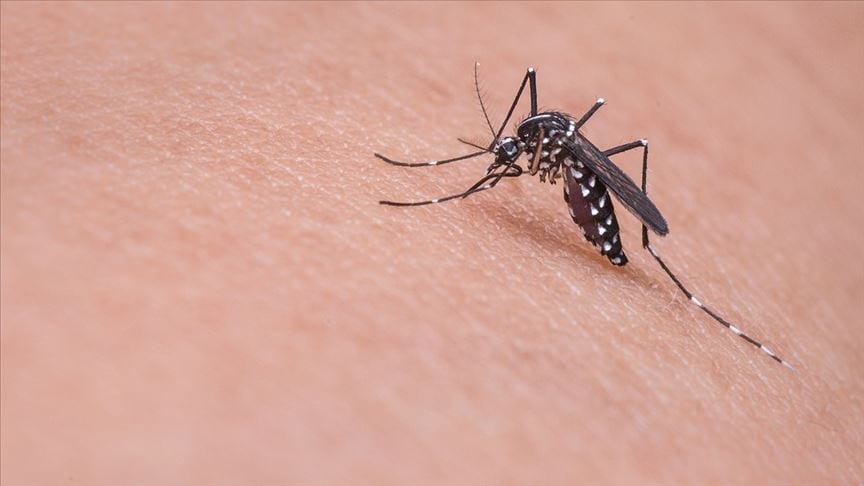 Asya Kaplan Sivrisineği'ne karşı hangi önlemler alınabilir?