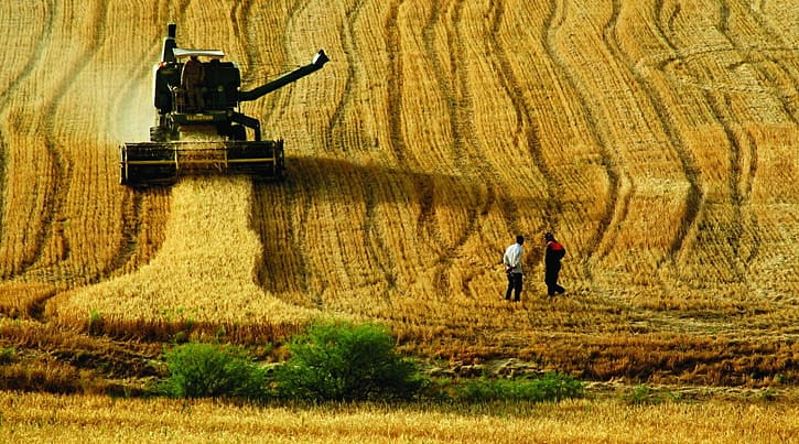 Tarımda ilk tahminler çok iyi değil