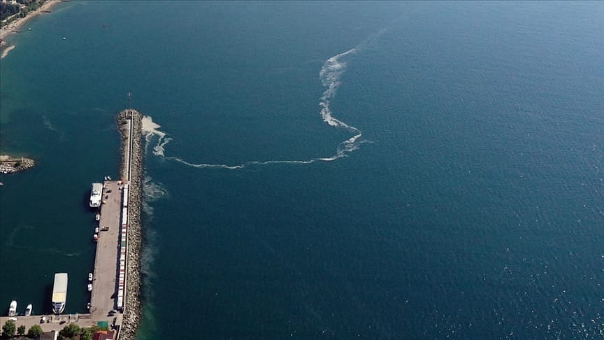Marmara Denizi'nde müsilajdan sonra yeni tehlike