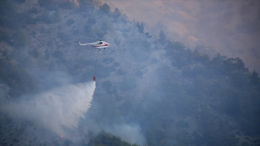 Milas'ta çıkan orman yangını kontrol altına alındı