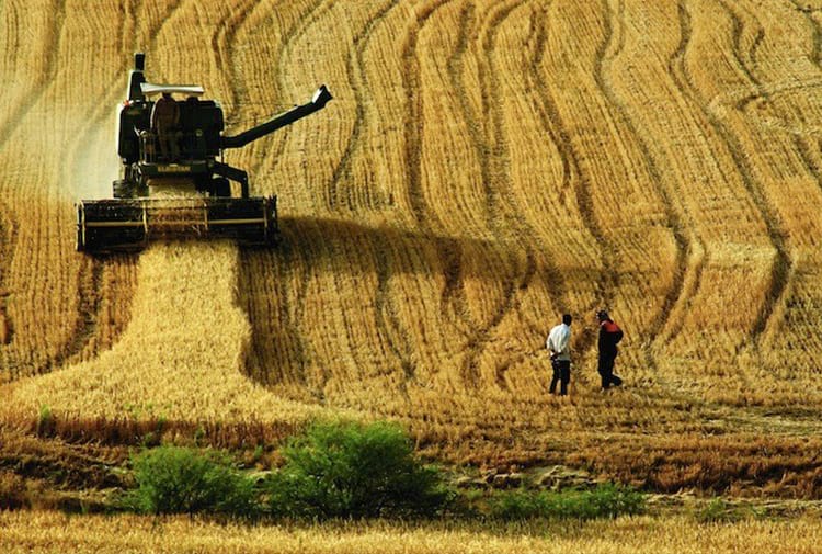 Tarımsal girdi enflasyonu rekorunu yeniledi