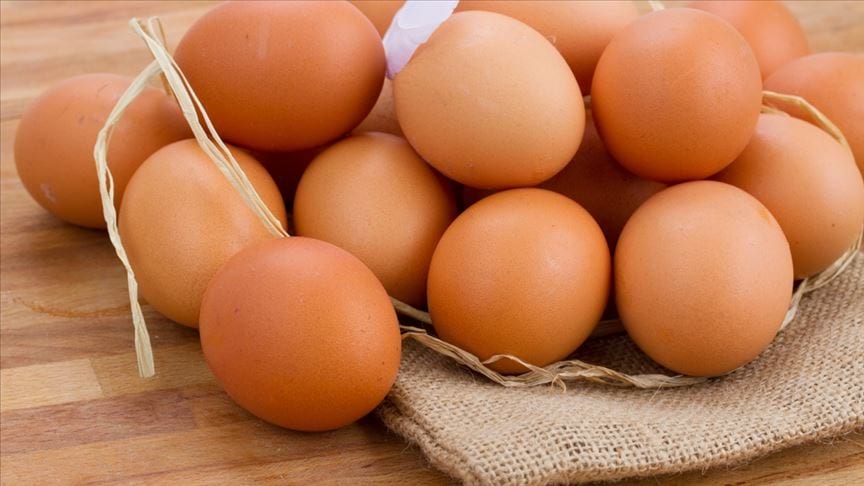 Tavuk yumurtası üretimi geçen yıl azaldı