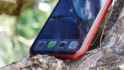 En düşük maliyetli iPhone Şubat'ta üretilebilir