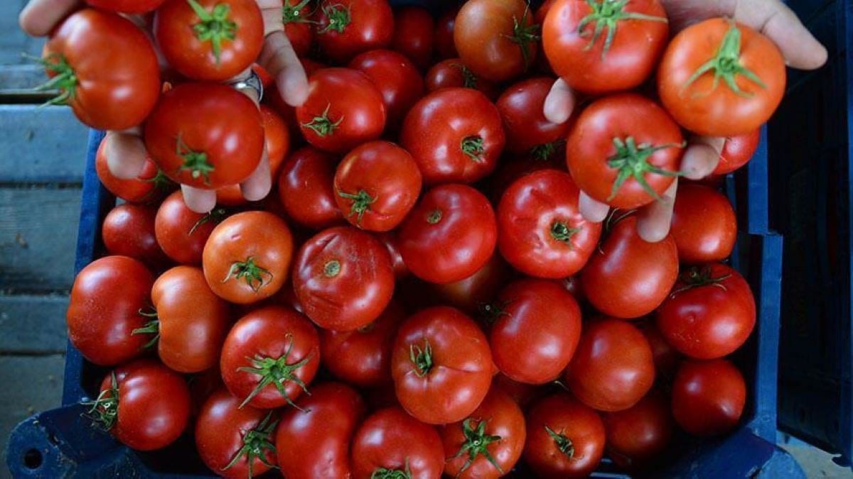 Rusya, Türkiye dahil 9 ülkeden sebze ithalatını artıracak