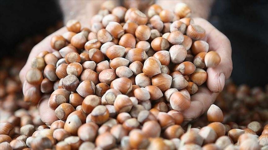 Fındık alım süresi uzatıldı
