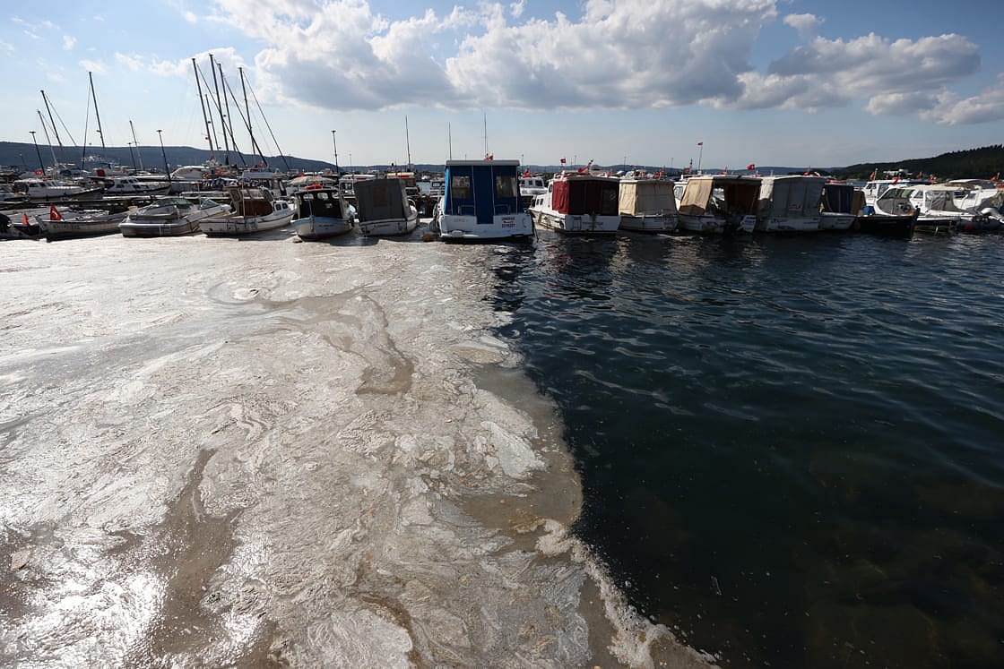 Müsilaj Çanakkale ve Bursa kıyılarında da etkisini arttırdı-0