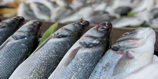 Kayısının başkentinden 11 ülkeye 6 bin tonluk balık ihracatı