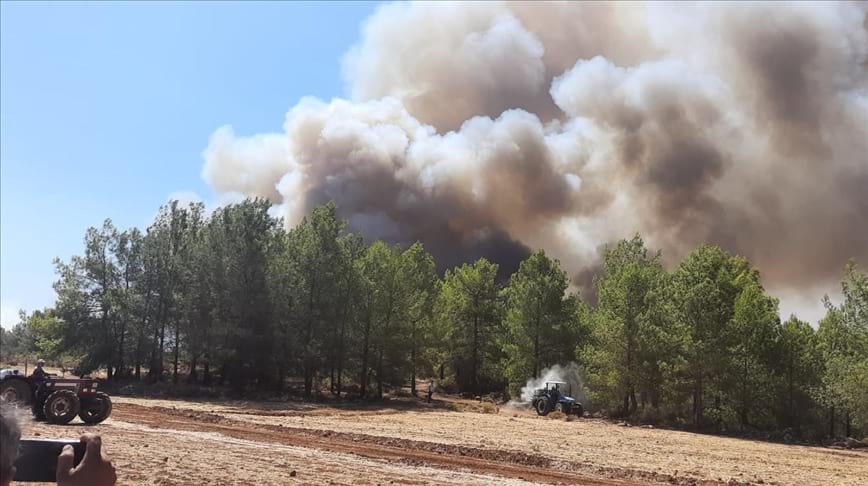 Orman Genel Müdürü Karacabey: 6 günde 144 yangın çıktı, 134'ü kontrol altında