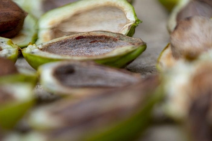 Bilgisayar Mühendisinin Pikan Bahçesi-0