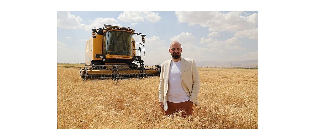 Buğdayda rekolte artışı bekleniyor