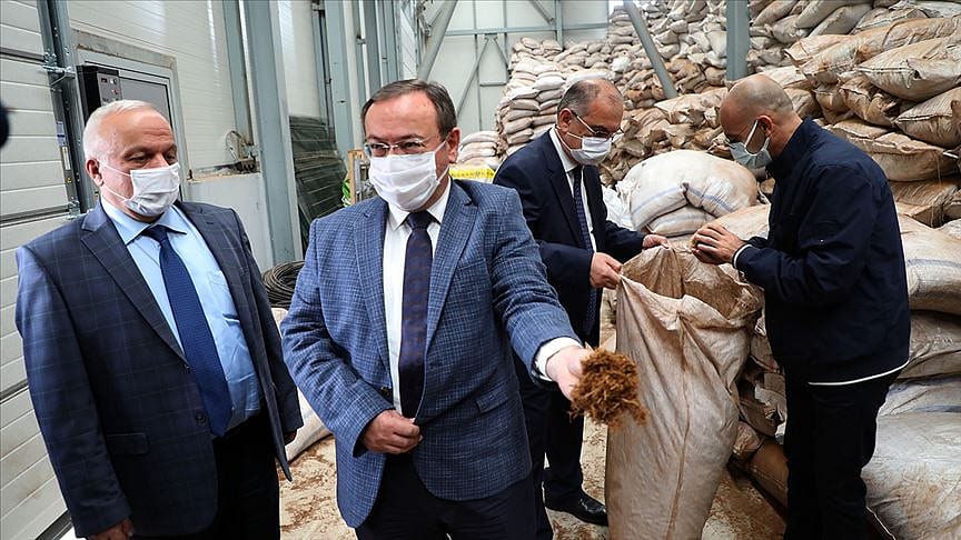 ÇAYKUR çay çöpü ve lifinden ekstrakt üretecek