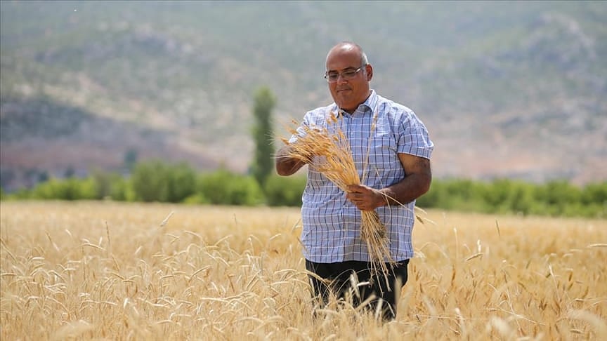 Bankacılığı bırakıp çiftçi oldu