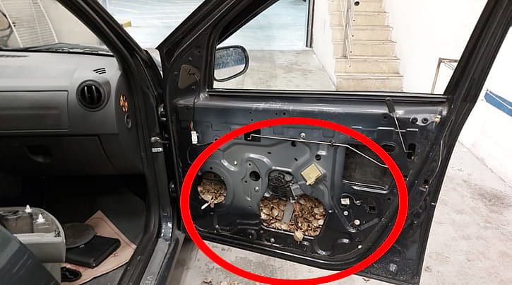 Gümrüğe takıldılar: Yöntemleriyle sınırları zorladılar