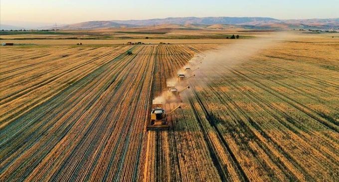 Tarım ÜFE temmuzda yıllık bazda yüzde 22,8 arttı
