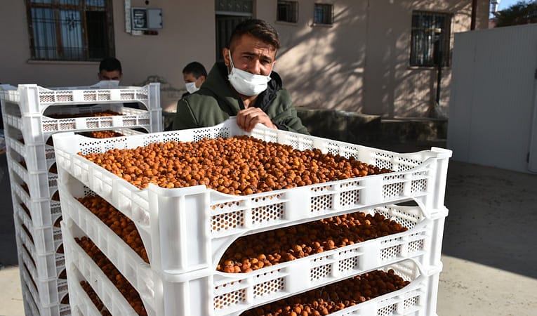 Çiftçinin ek geliri oldu: Kurutup 8 katı fiyatla sattılar-0
