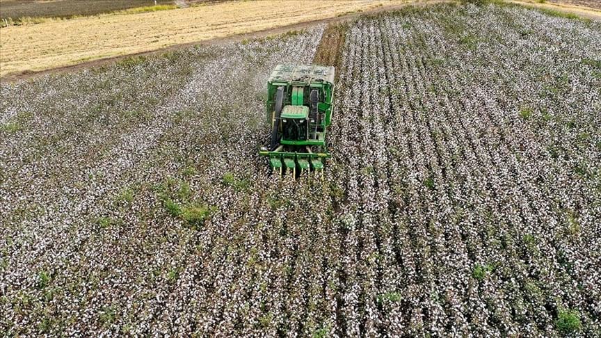 Tarım üretici enflasyonu yıllık yüzde 142 oldu