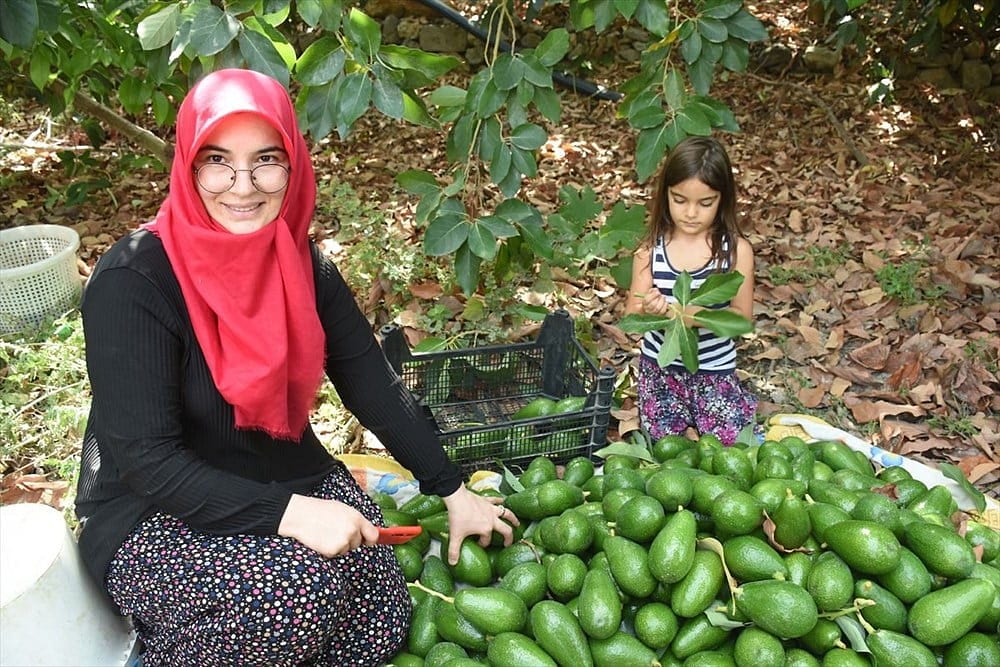 'Avokadocu Ayşe' markasıyla kendi işinin patronu oldu-0