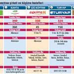 100 Franchising-1