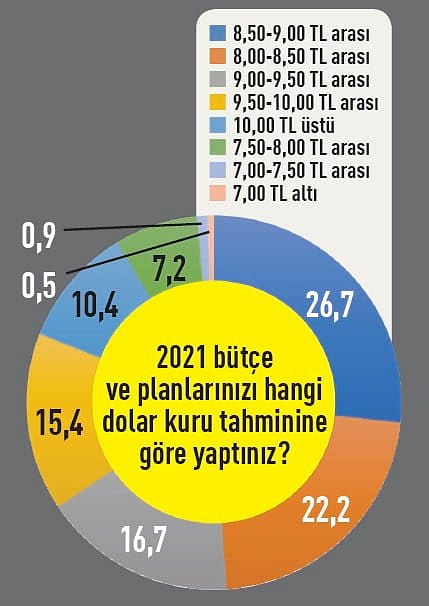 225 CEO’nun 2021 Beklentileri: İşte Anketten Çıkan Sonuçlar-4