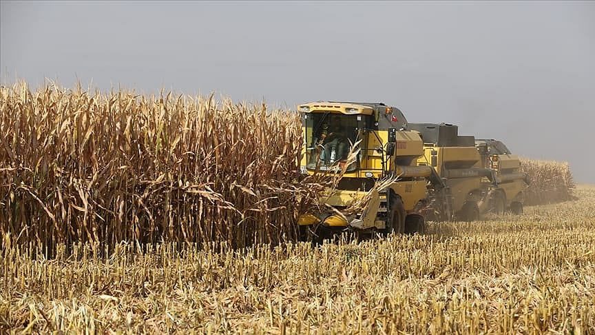 Bazı genetiği değiştirilmiş soya ve mısır çeşitlerinin hayvan yemlerinde kullanımına onay