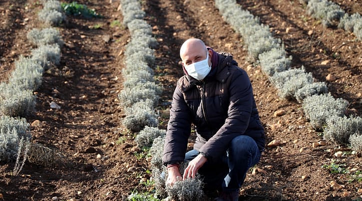 Kuraklık nedeniyle üreticinin gözdesi oldu, kilosu 40 eurodan başlıyor