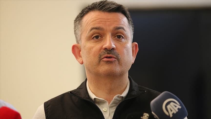 '28-29 Temmuz'da 17 ilde toplam 58 orman yangını meydana geldi'