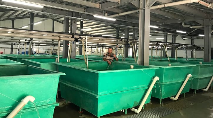 Devlet desteğiyle 100 tankta üretime başladı, talebe yetişemiyor -0