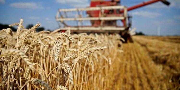 Tarımsal girdi fiyat endeksi Kasım 2020'de arttı