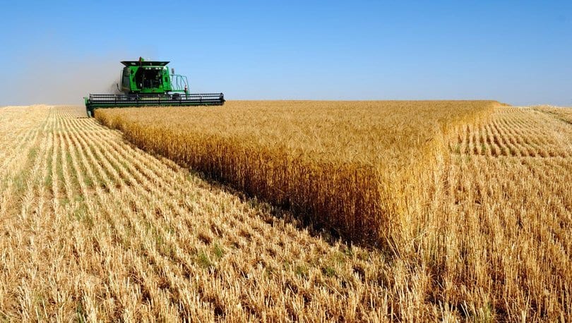 Tarım ÜFE yıllık bazda yüzde 20,2 arttı