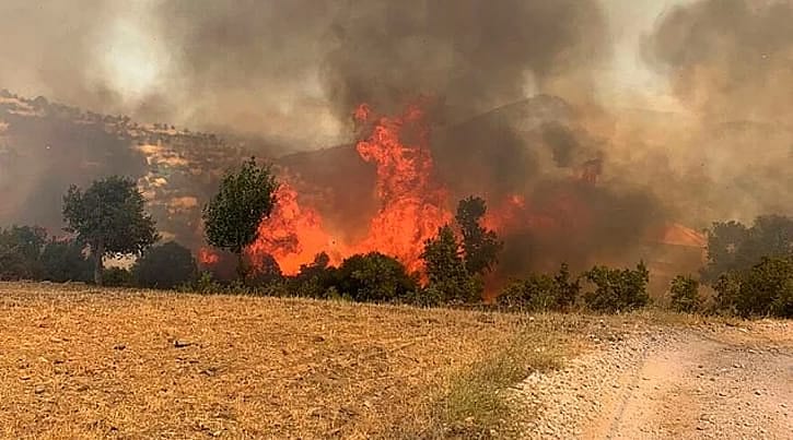 Yatırımlık deyip yanan tarlalar için ilan verdiler: TÜGEM tepkili, "Yanıltıcı ifadelere inanmayın"