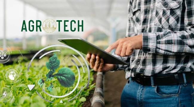 Agrotech (AGROT) halka arzı ne zaman? Kaç lot dağıtacak?