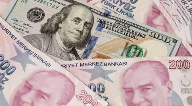 Reel efektif döviz kuru endeksi eylülde 55,52'ye yükseldi