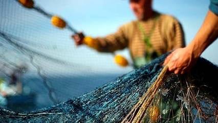 Balıkçılar, iki nedenden sezona erken 'paydos' etti 