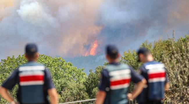 Çanakkale'de yangın rüzgarla yeniden alevlendi, müdahale sürüyor 