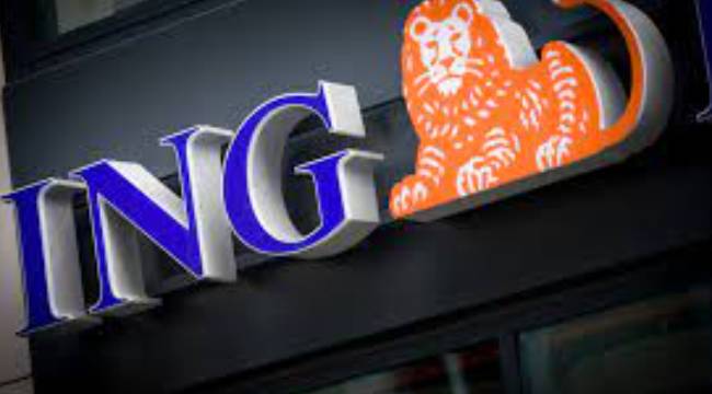 ING Türkiye ilk çeyrek kârını açıkladı 