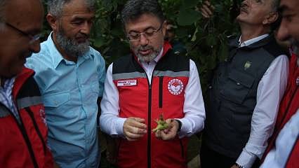 Bakan tarih verdi, TMO fındık alımına başlayacak 