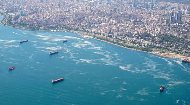 Marmara için kritik uyarı: Ölü denize dönebilir