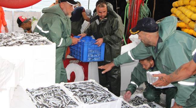 Balık sezonu açıldı, tezgahlar hareketlendi! İşte ilk fiyatlar 