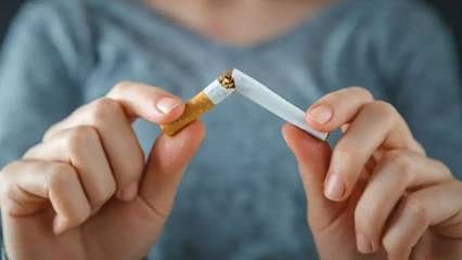 Bir sigara grubuna daha zam geldi 