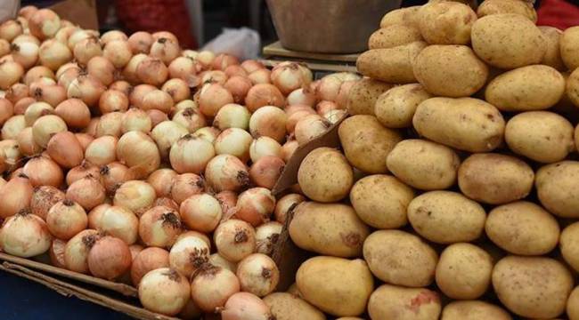 Dondurulmuş soğan ve patates ihracatı kayda bağlandı