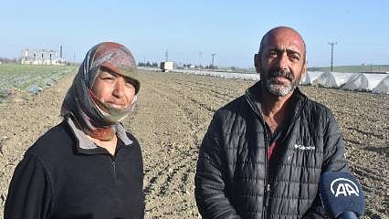 Depremzede çiftçinin çağrısı yanıt buldu, ürünü tarlada kalmaktan kurtuldu