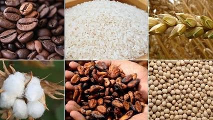 Emtia piyasası ekonomik aktiviteye ilişkin iyimserlikle geçen hafta pozitif seyretti