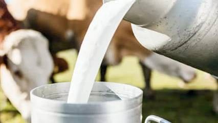 Çiğ süte zam geldi 