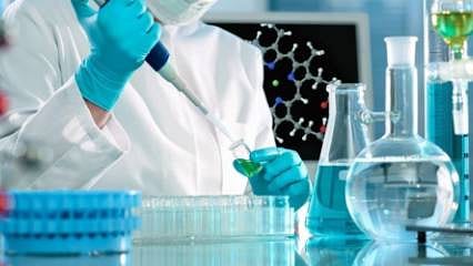 20 yıldır süren "çığır açıcı" araştırma, temizlikçinin buzdolabı fişini çekmesiyle yok oldu