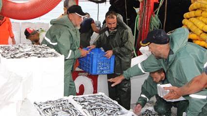 Balık sezonu açıldı, tezgahlar hareketlendi! İşte ilk fiyatlar 